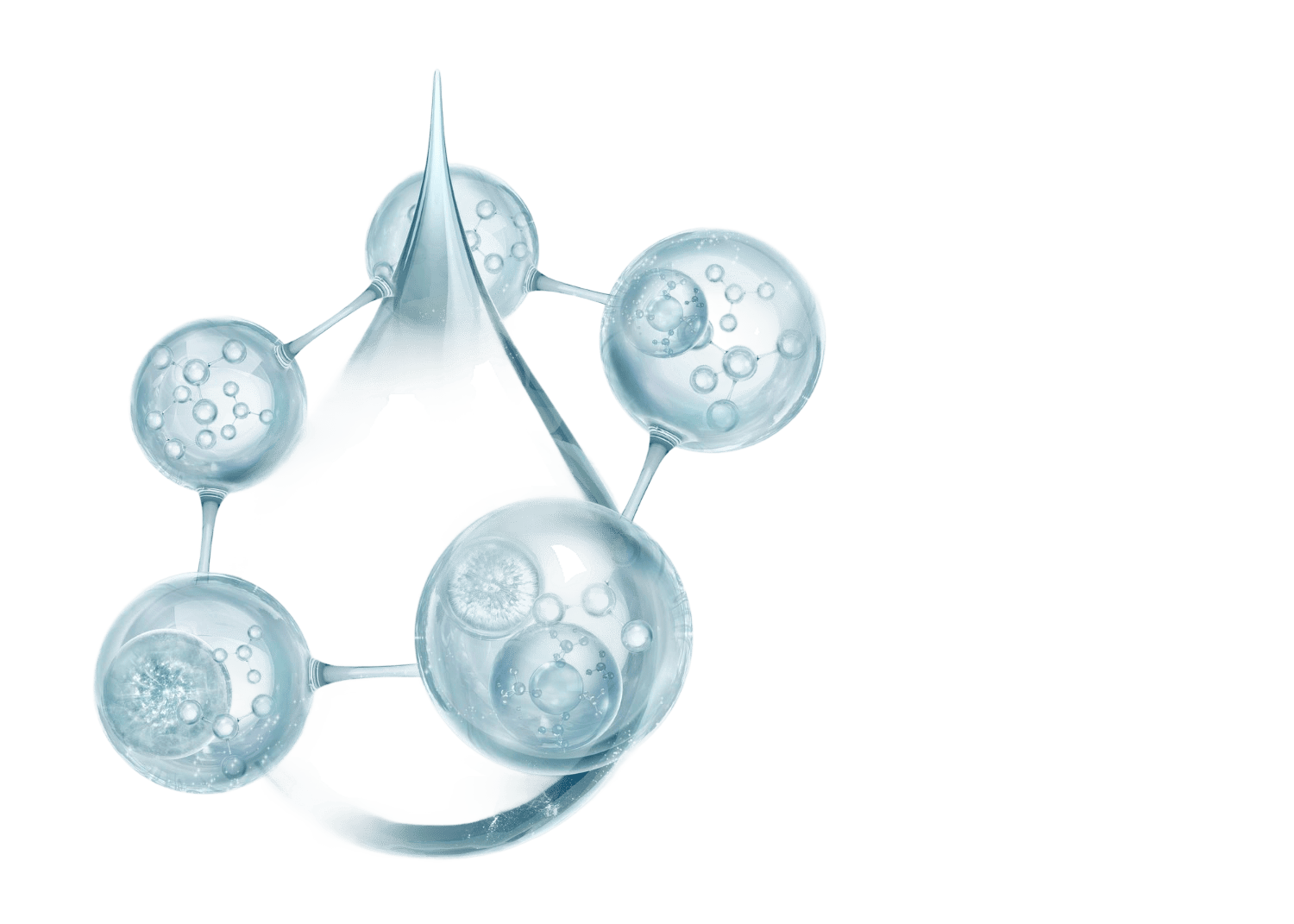 Marine exosome-like biomimetic-vesicle  (EBV)