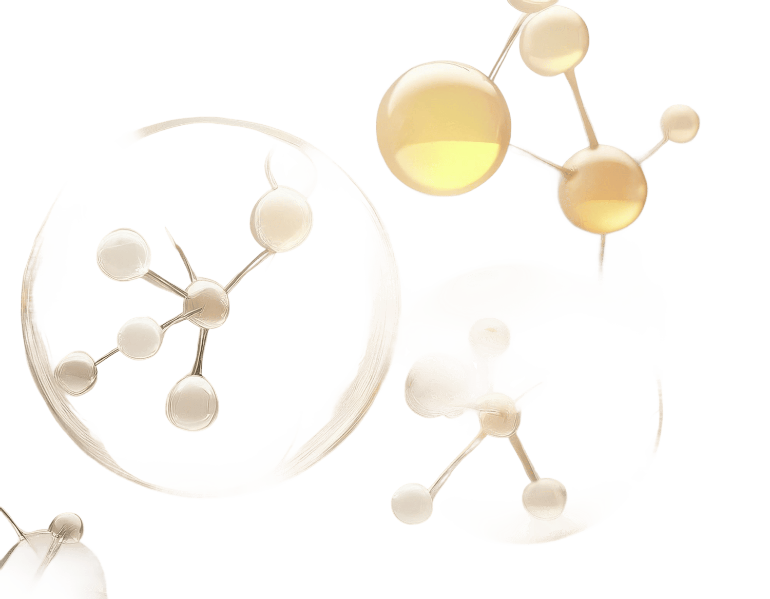Licorice PDRN
