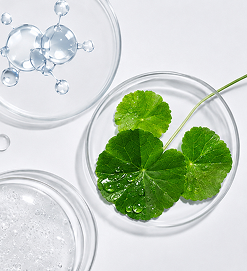 Nature Ingredient